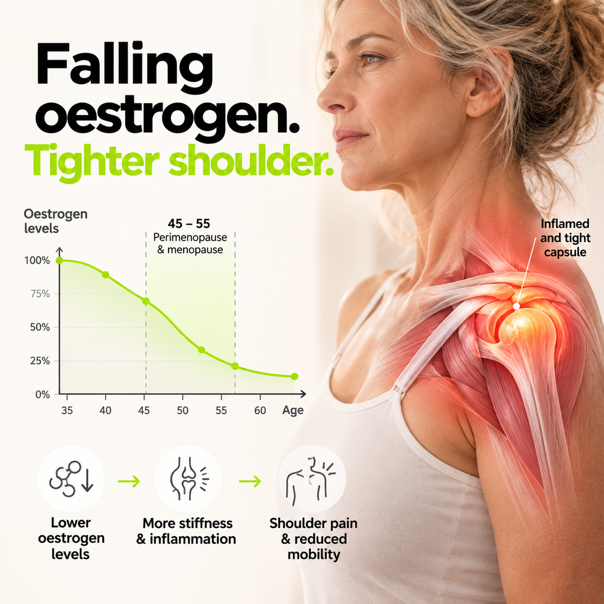 Silhouette d'épaule avec la capsule articulaire mise en évidence, et une courbe d'œstrogènes qui descend entre 45 et 55 ans. Texte sur l'image : "Falling oestrogen. Tighter shoulder."